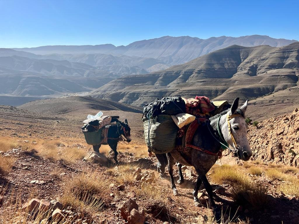 Easy Travels in Morocco景点图片