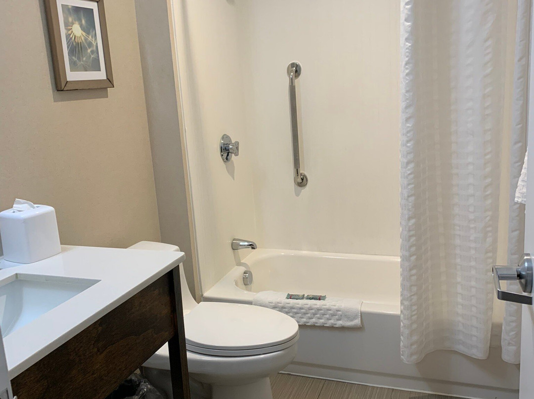 Best Western Hampshire Inn & Suites主图