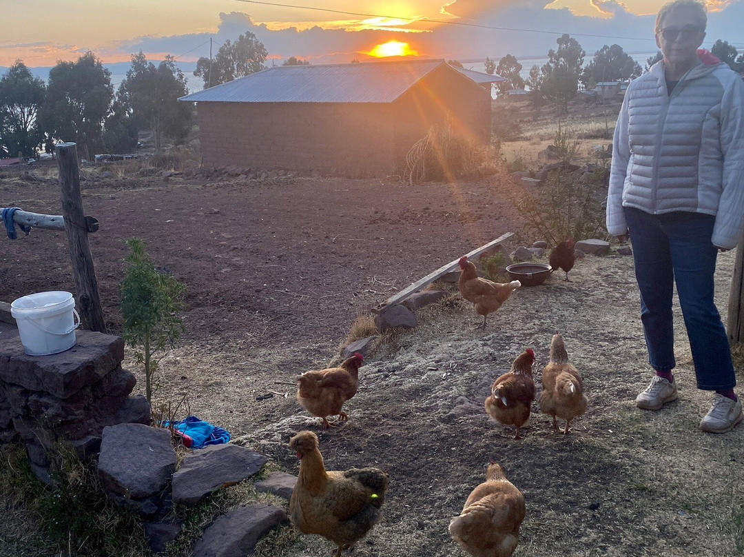 Hospedaje y Restaurante Saywa主图