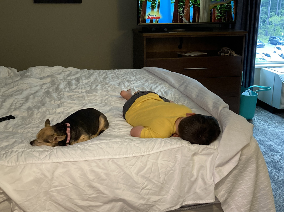 Hilton Garden Inn Summerville主图