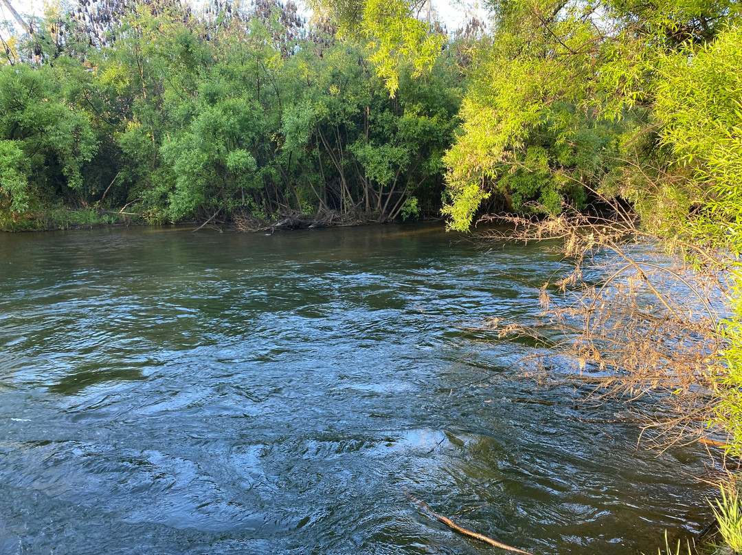 Tumut River景点图片