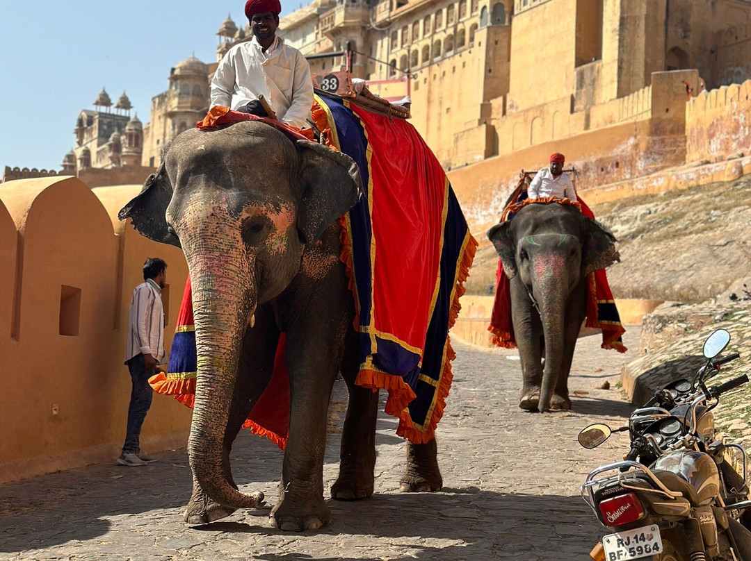 Royal Jaipur Tours-斋蒲尔必去景点