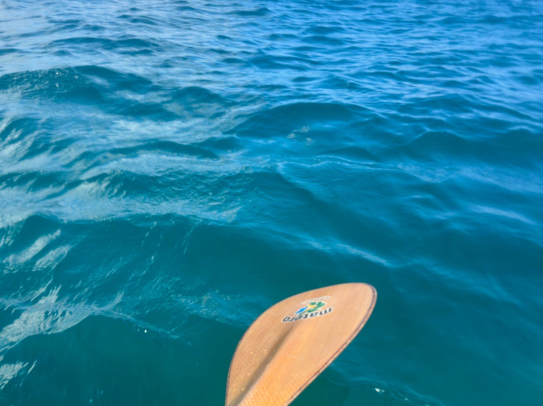 FDino Noronha-费尔南多-迪诺罗尼亚群岛必去景点