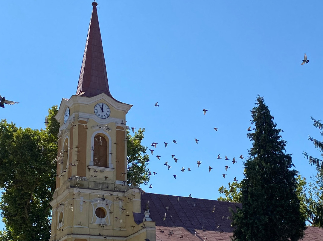 Roman-Catholic Chruch景点图片