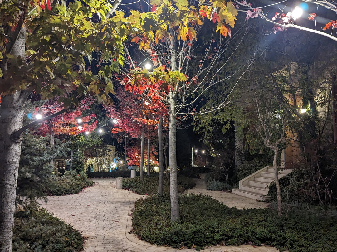 Le Telegraphe de Belle-Vue主图