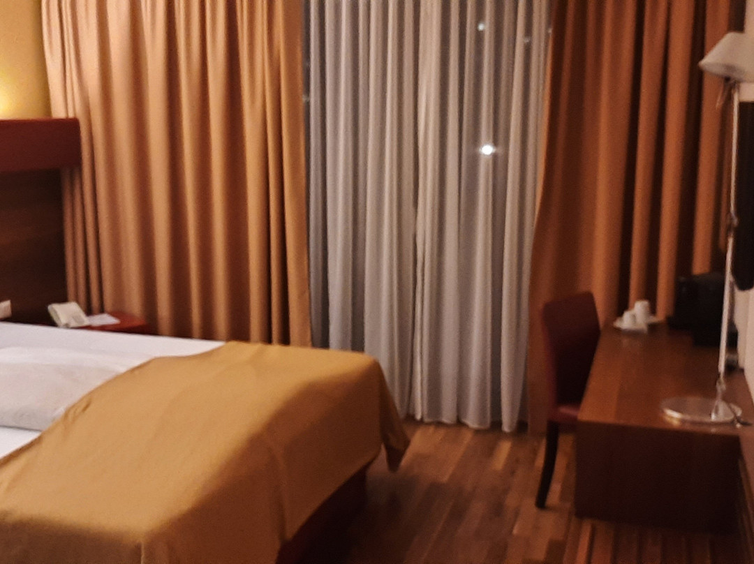 Asia Hotel & Spa Leoben主图