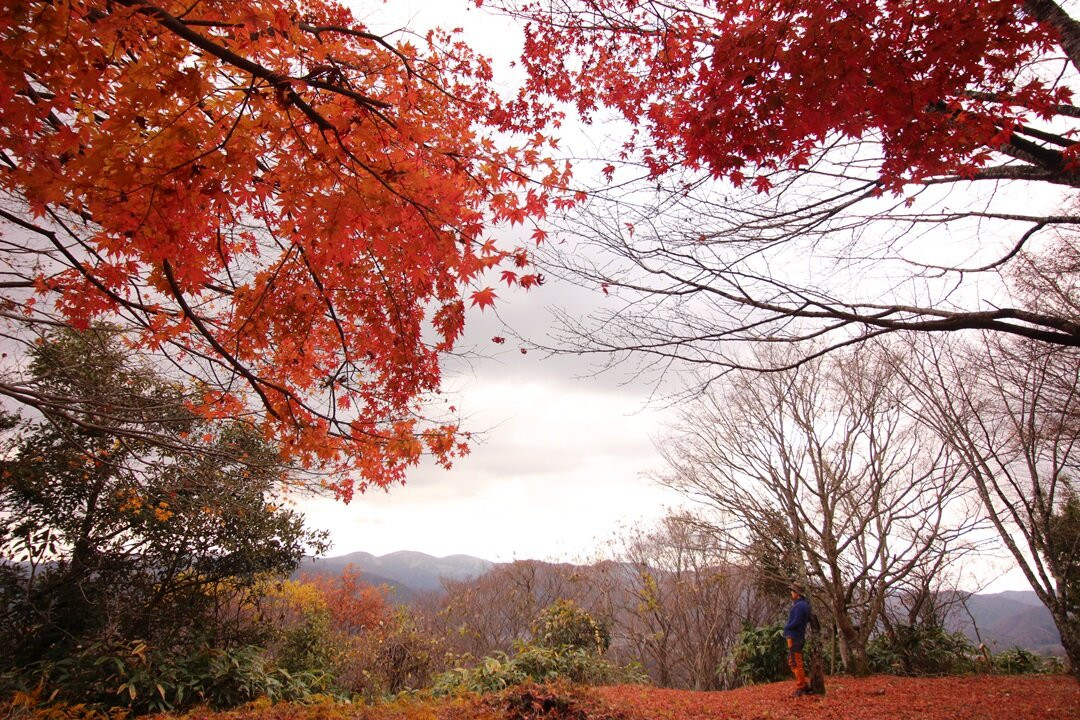 Futatsuyama Castle Ruins-邑南町必去景点