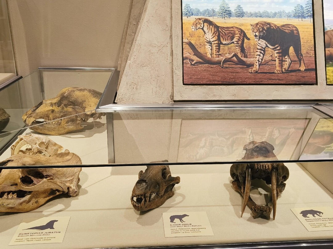 Herrett Center for Arts and Science-特温福尔斯必去景点