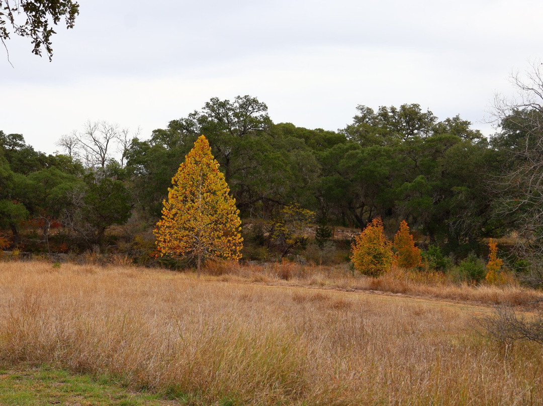Joshua Springs Park and Preserve-Comfort必去景点