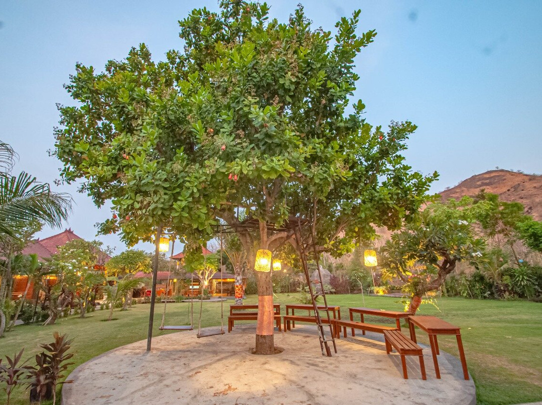 Rich Farmer Eco House and Yoga主图