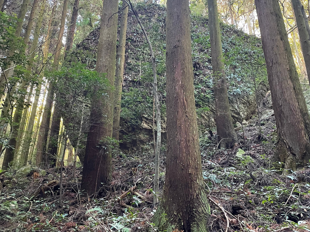 Shiratake-对马市必去景点