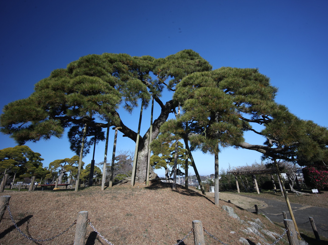 Minato Park-常陆那珂市必去景点