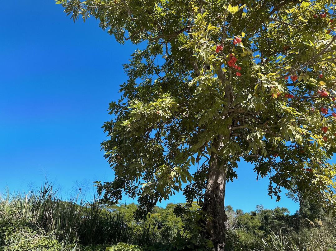 Ken's Dream Vacation-蒙特戈贝必去景点