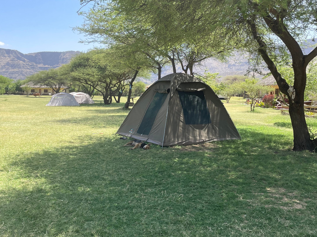 Safari And Trekking Africa-阿鲁沙必去景点