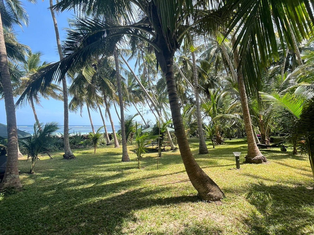 The Safari Side Travel Agency-Iten必去景点