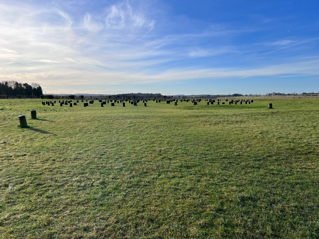 Woodhenge-Durrington必去景点