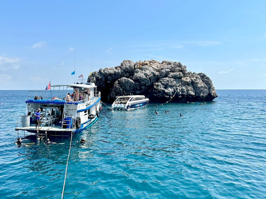 Plongee Koh Phangan Diving景点图片