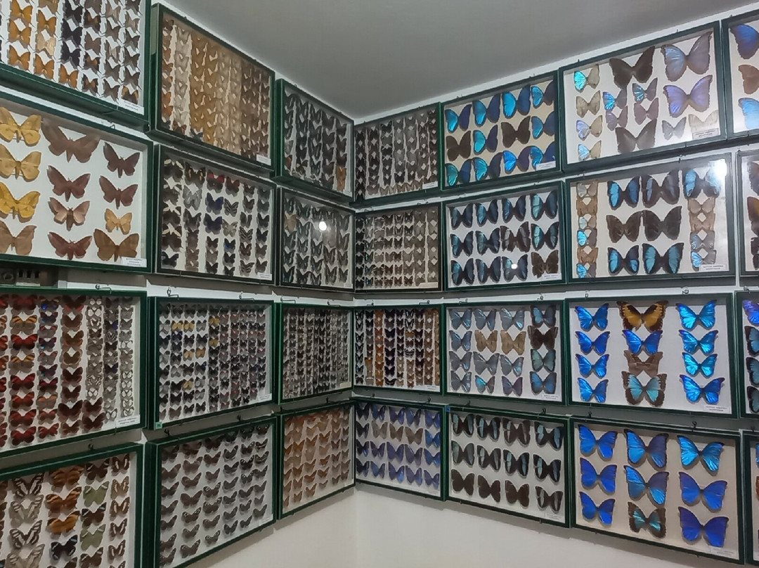 Entomological Museum of Volos景点图片