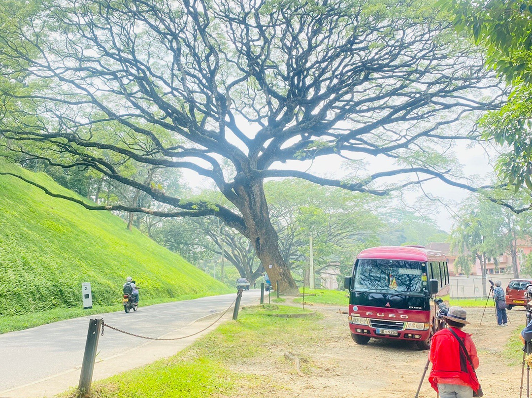Sri Lanka Escorted Tours景点图片