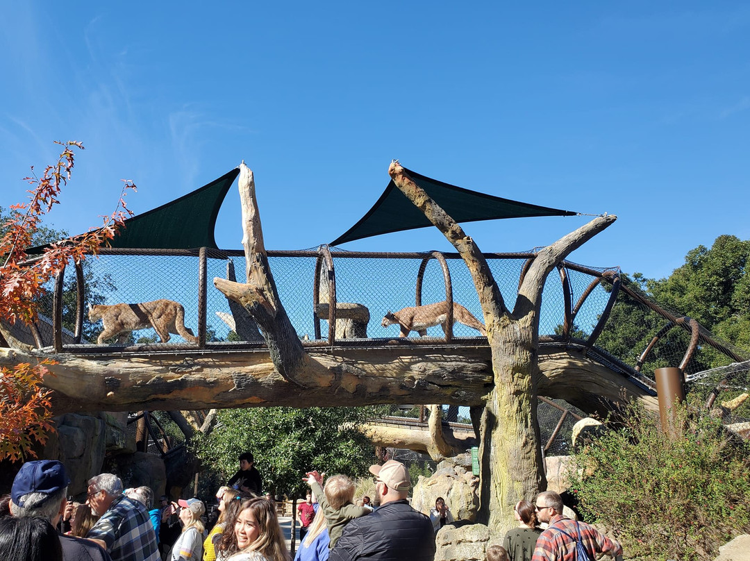 Orange County Zoo-橘子郡必去景点