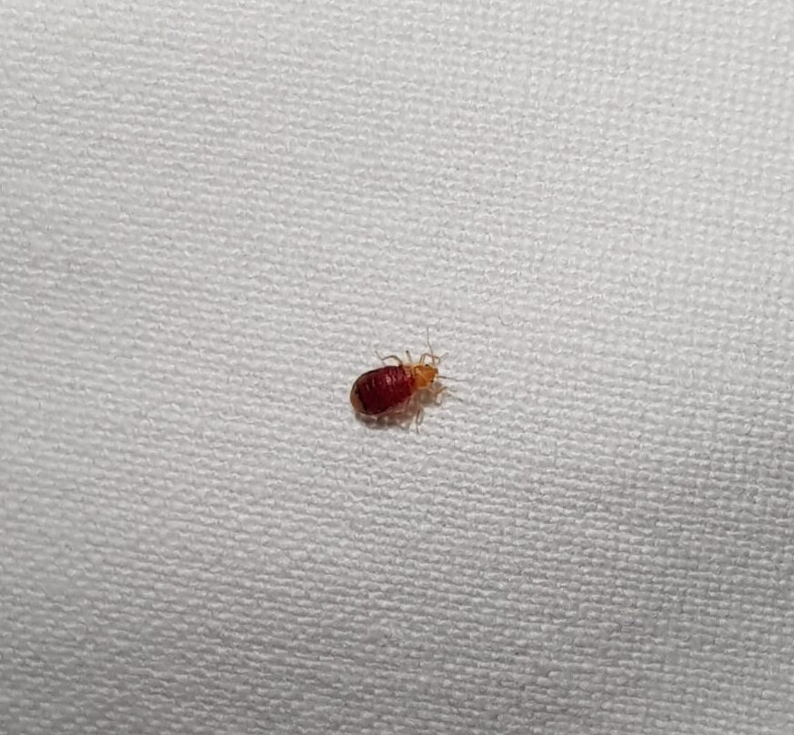 Liberty Hotel Male主图