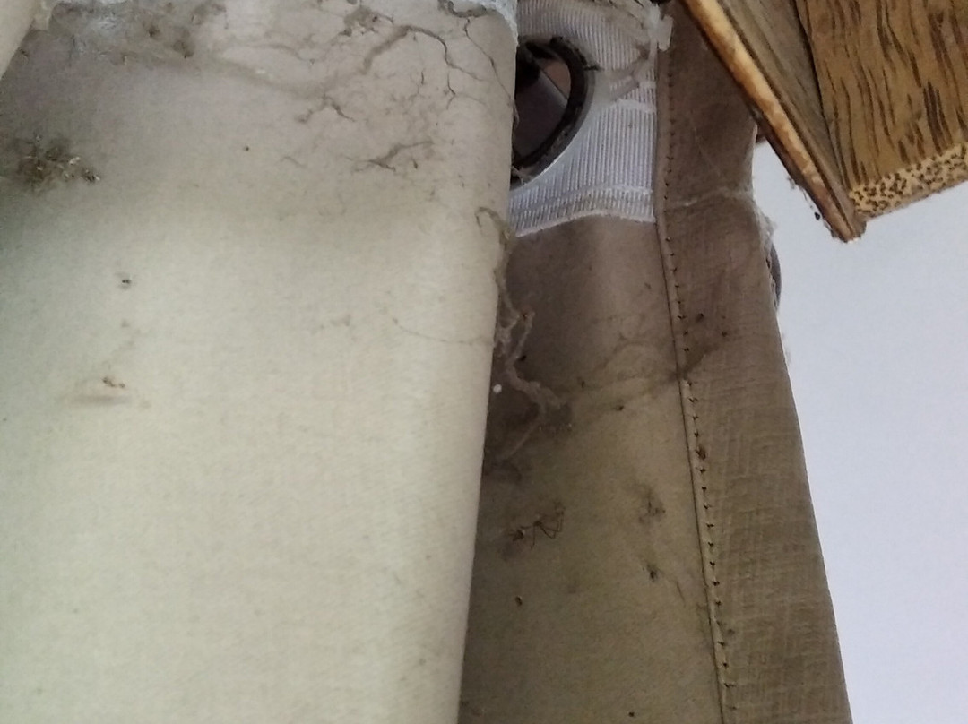 Paraiso Cottage主图