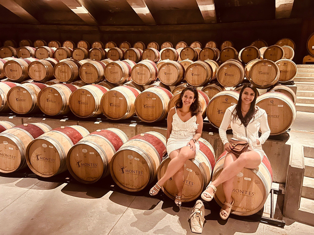 Colchagua Turismo Rural-圣克鲁斯必去景点