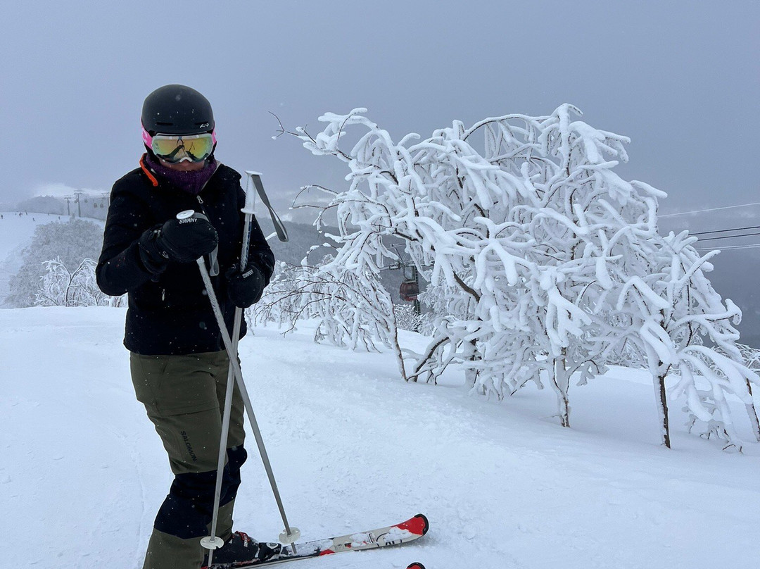 The Vale Rusutsu主图