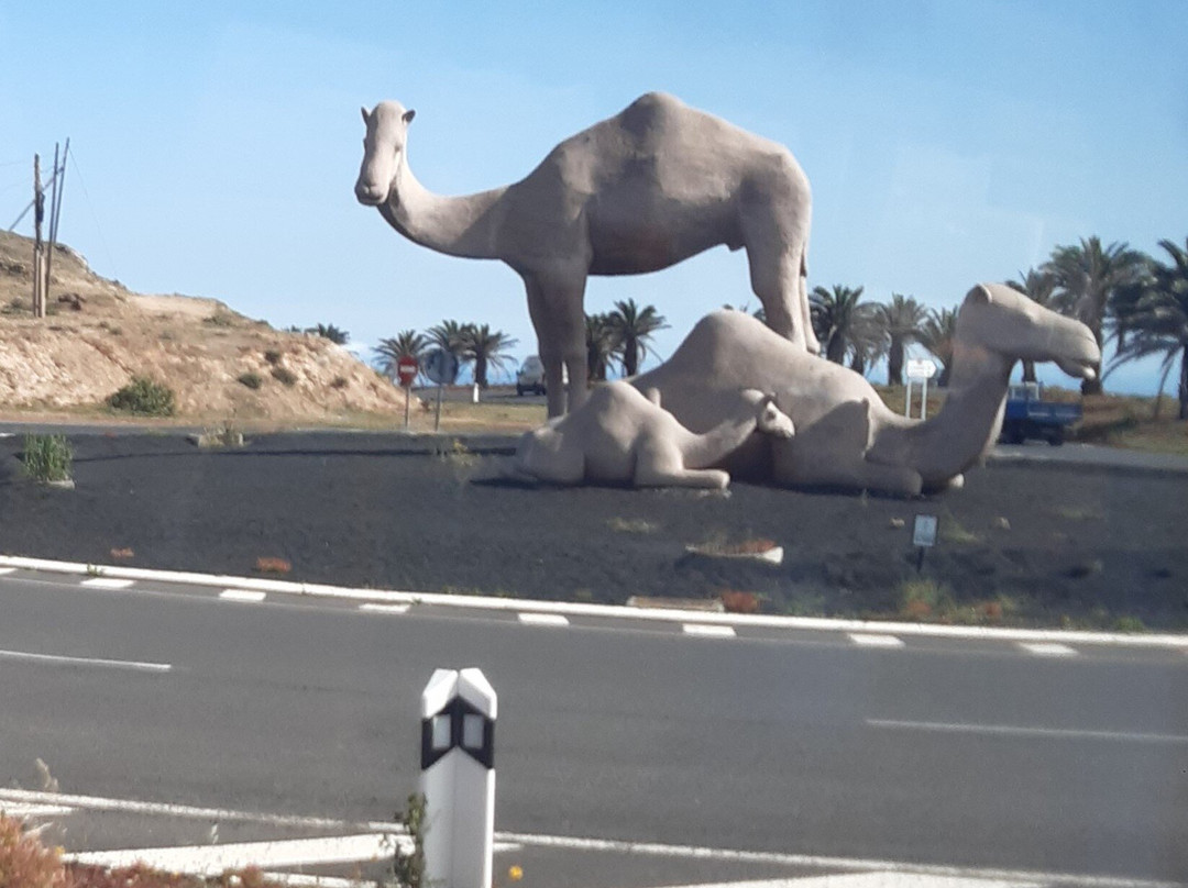 Rotonda De Los Camellos