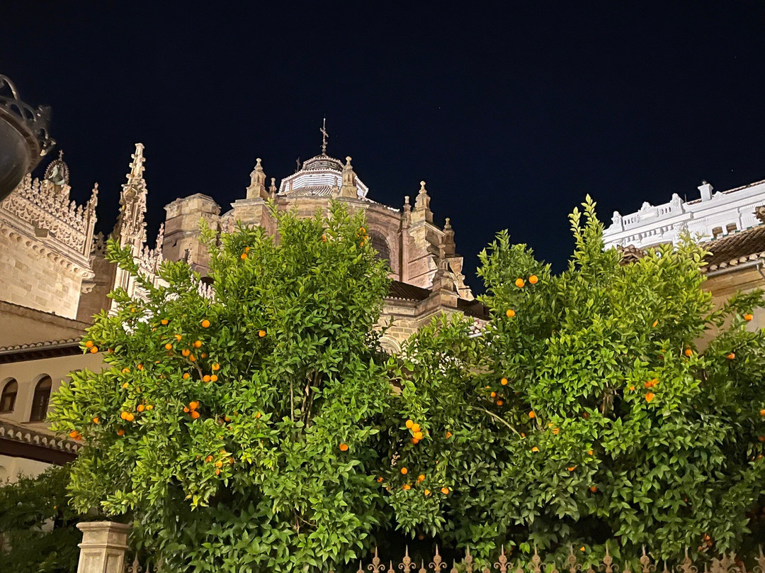 Granada Cathedral景点图片