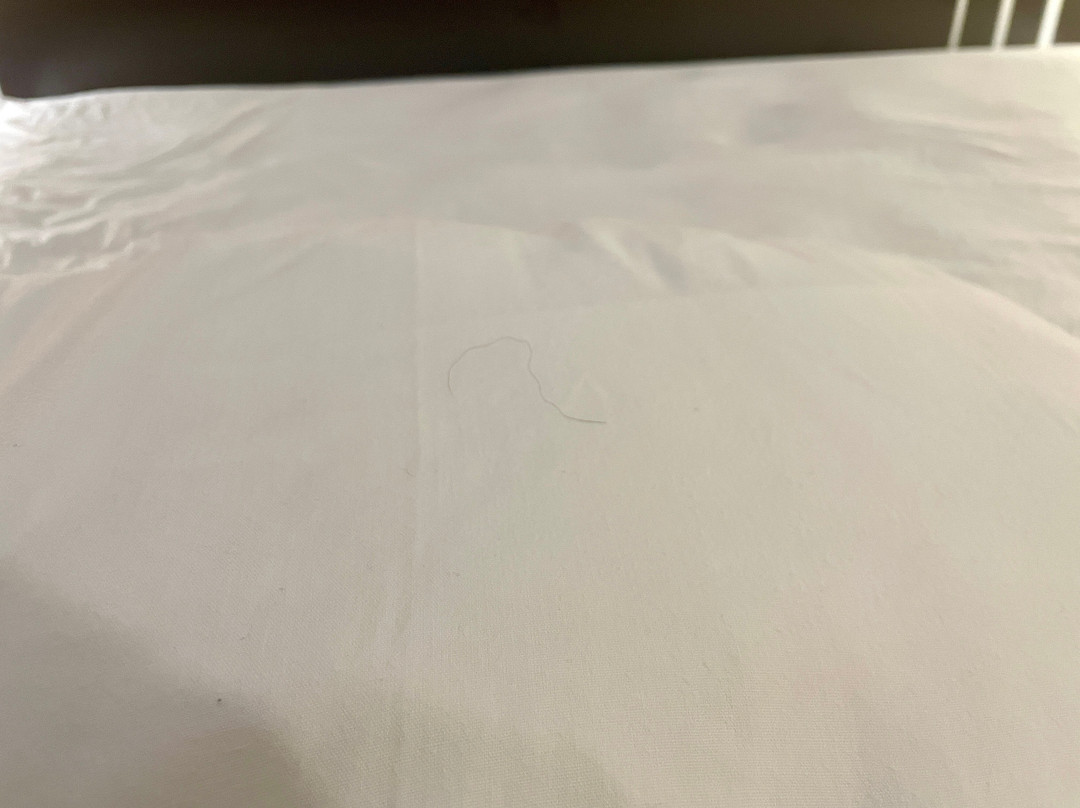 Red Roof Inn Binghamton North主图