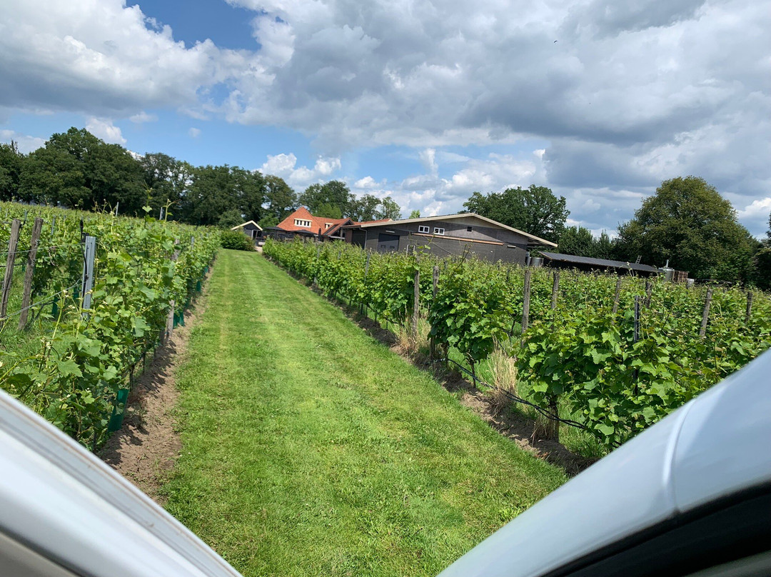 Wijngaard Hof van Twente