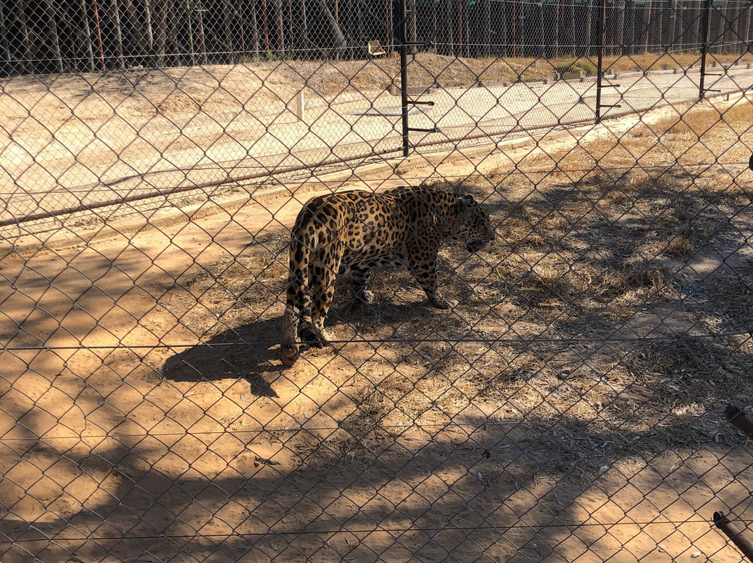 Eventieria Wildlife Park-瓦尔沃特必去景点