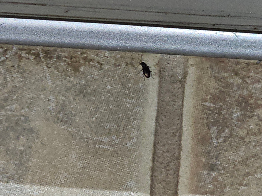 Hampton Inn & Suites Lino Lakes主图