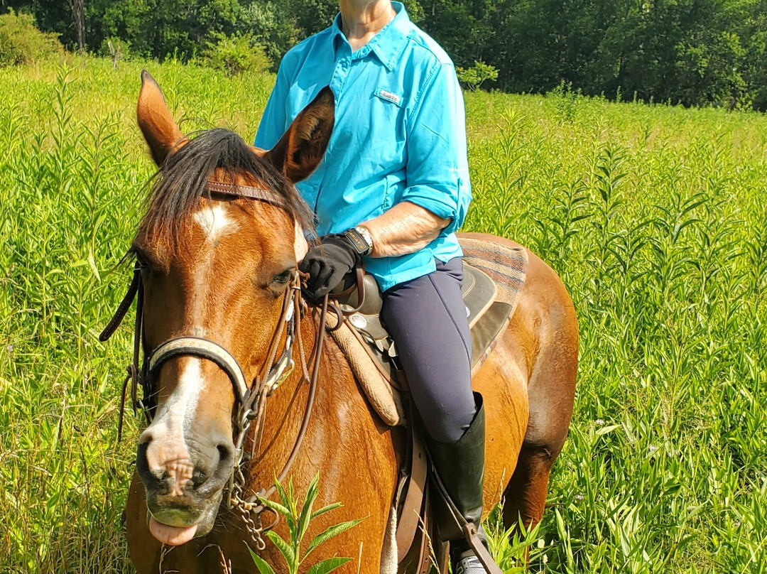 Secret Passage Ranch-Fort Valley必去景点