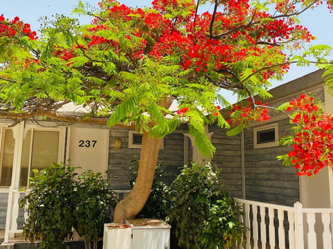 Hotel Oasis Belorizonte