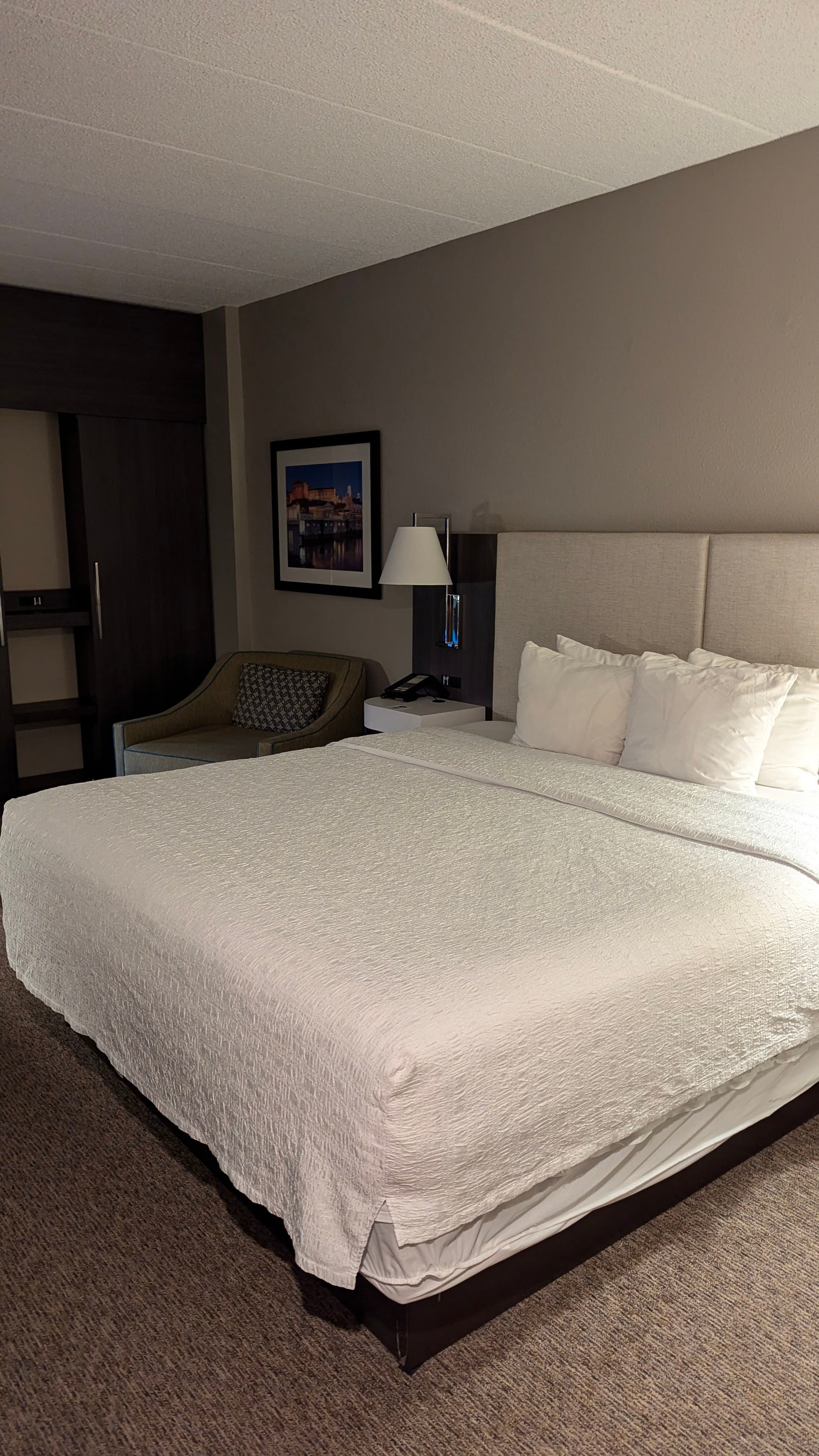 Hampton Inn & Suites Valley Forge/oaks-客卧