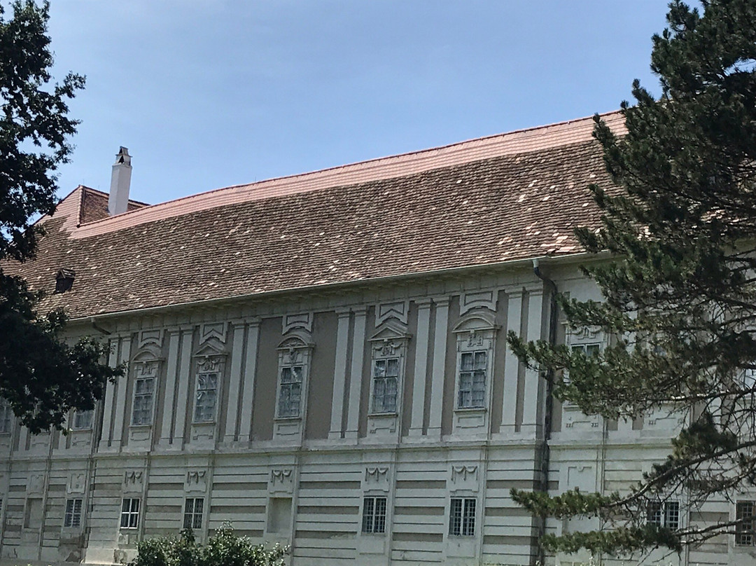 Schloss Rohrau景点图片