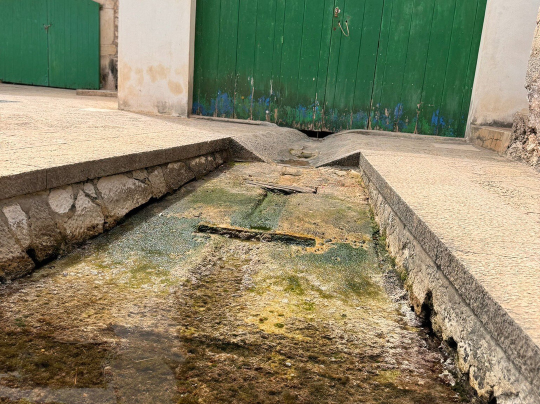 Puerto De Cala Figuera-Cala Figuera必去景点