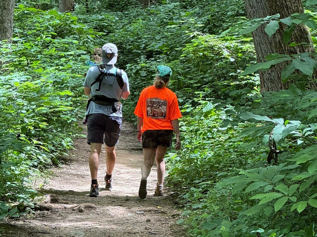 Berea Pinnacles-Berea必去景点