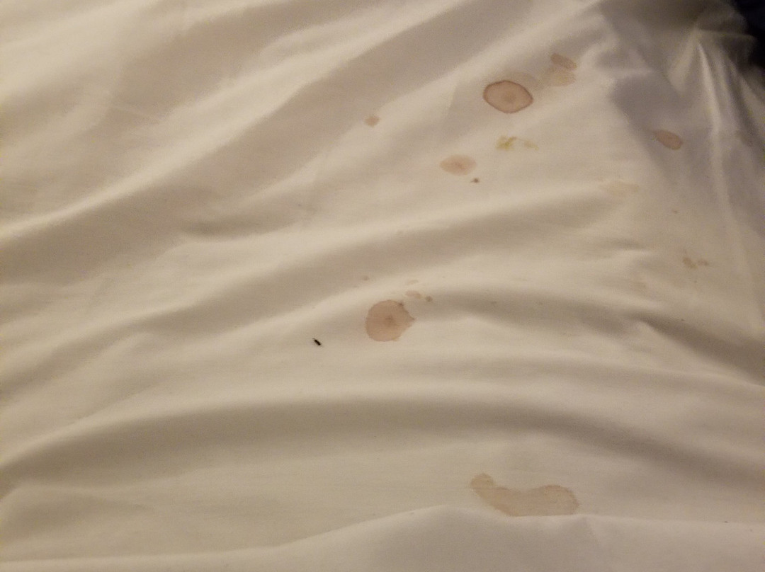 Super 8 by Wyndham West Greenwich/Providence主图