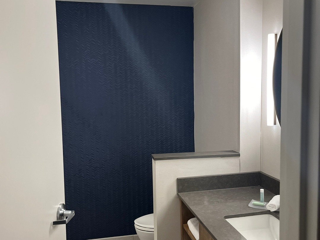 Fairfield by Marriott Inn & Suites St Louis South主图