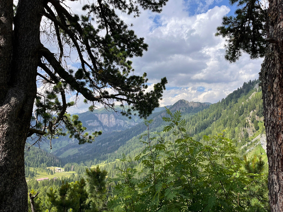 Rifugio Taramelli景点图片