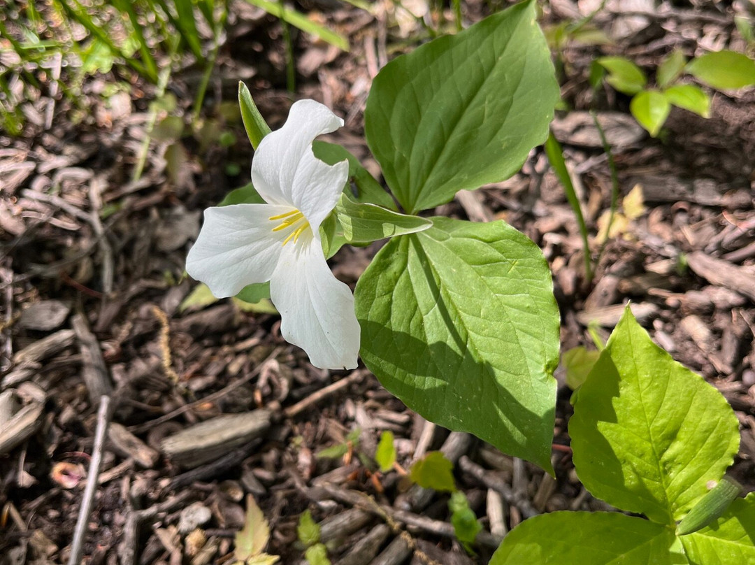 Munroe Falls Metro Park-Munroe Falls必去景点