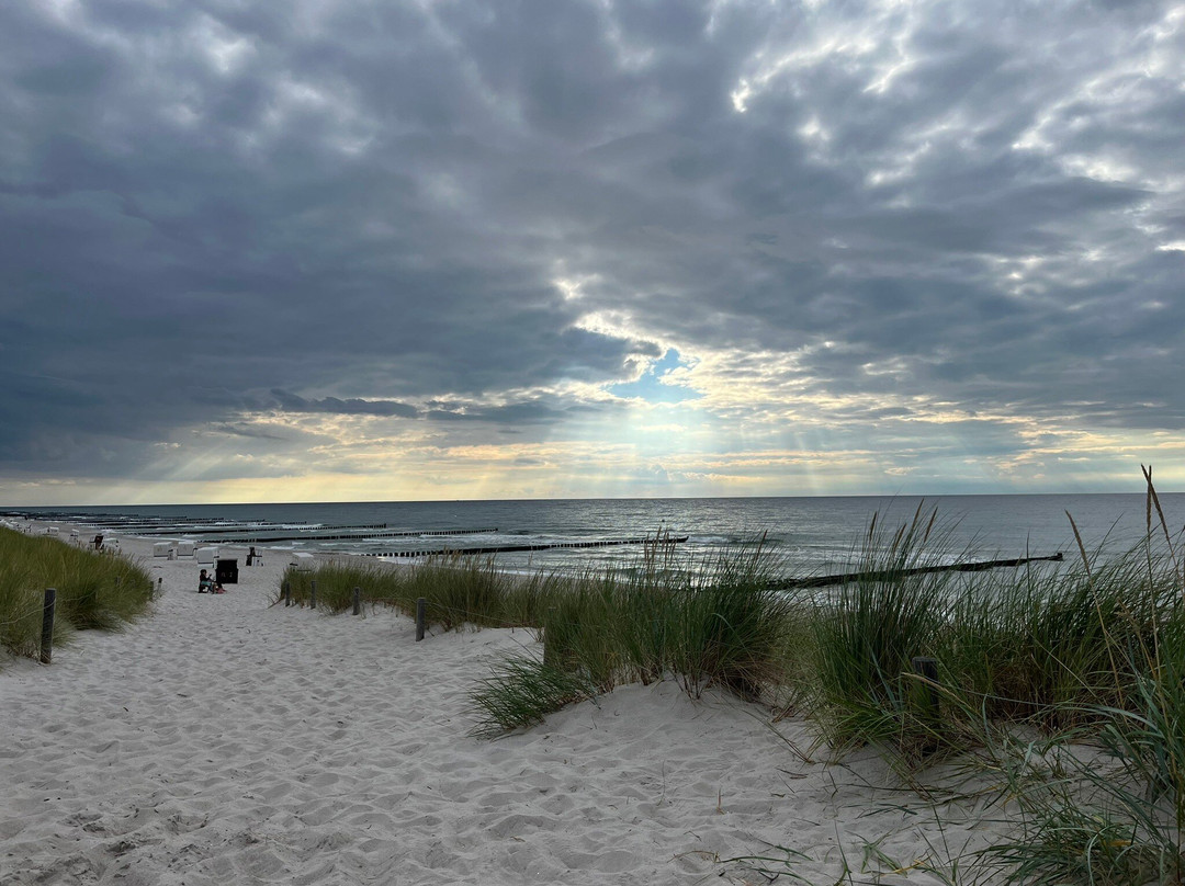 Strandhaus Ahrenshoop主图