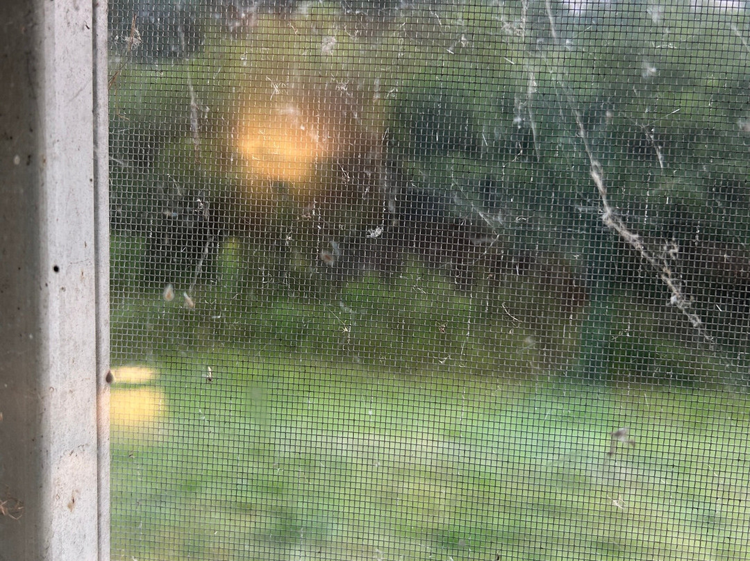 The Becket Motel主图