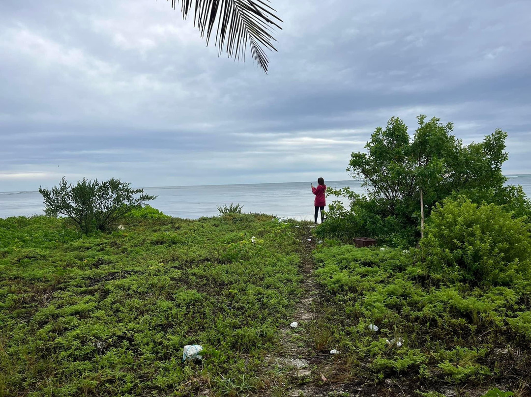 Riviera Moto Adventures-普拉亚德尔卡曼必去景点