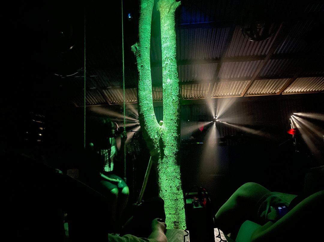 Sabrina's Treehouse Concerts-格林纳达必去景点