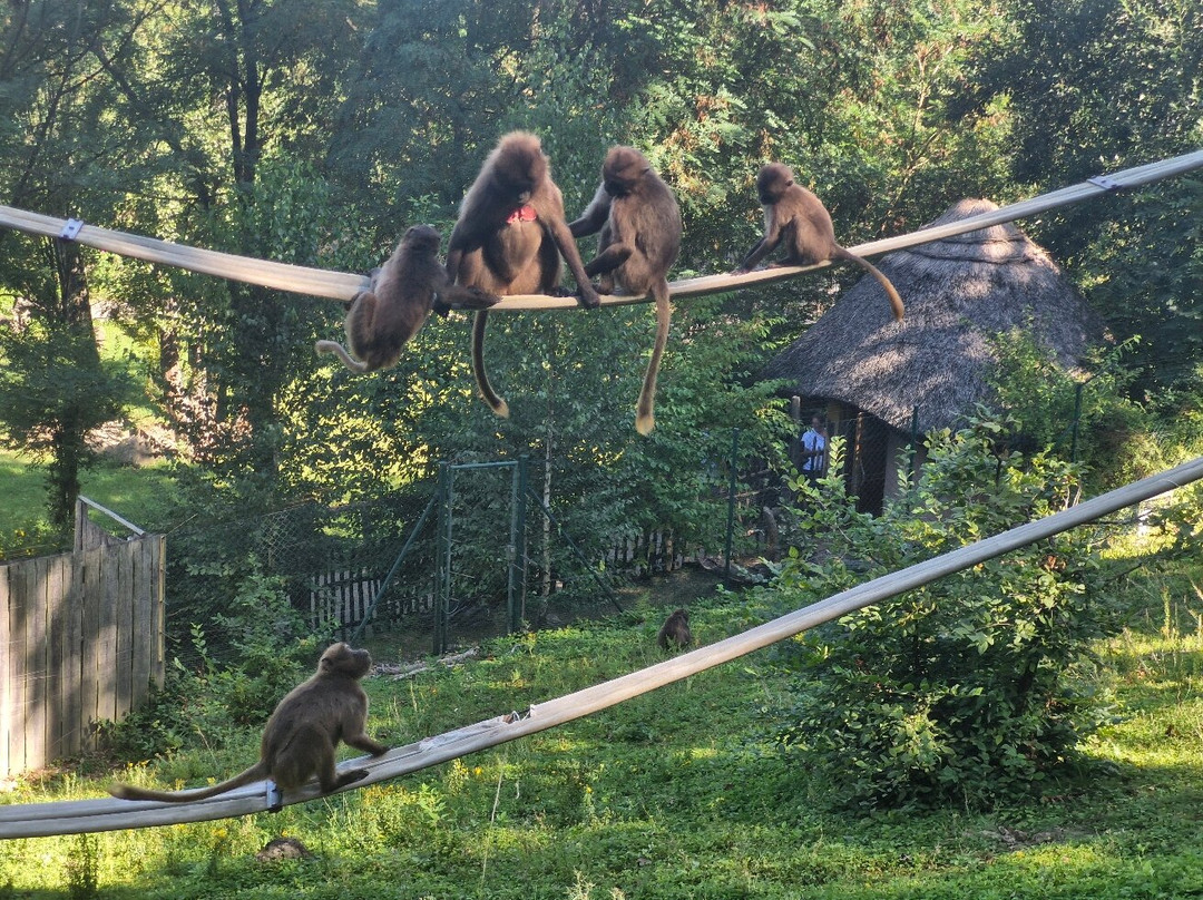 ZOO and Castle Zlin - Lesna-兹林必去景点