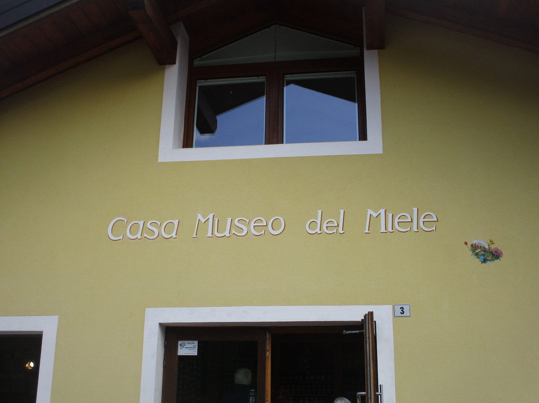 Museo del Miele景点图片